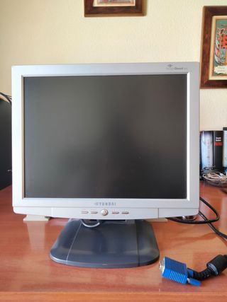 Monitor ordenador 