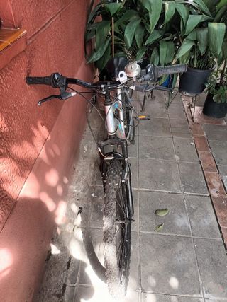 Bicicleta adulto y niño