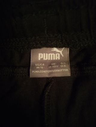 Conjunto puma