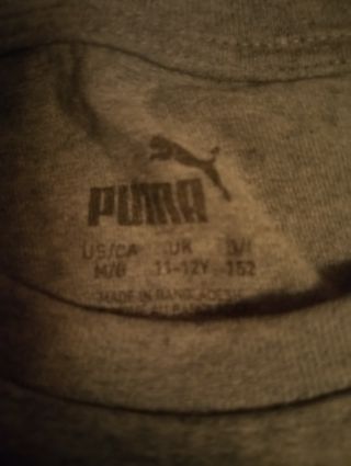 Conjunto puma