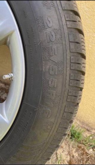neumaticos