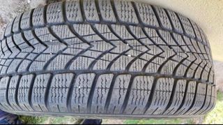 neumaticos