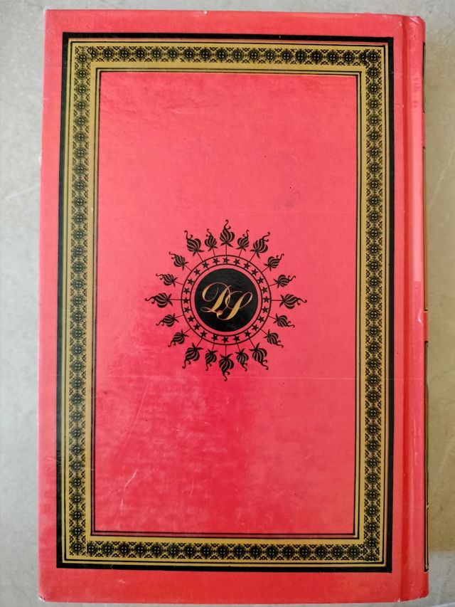 Cinco semanas en globo