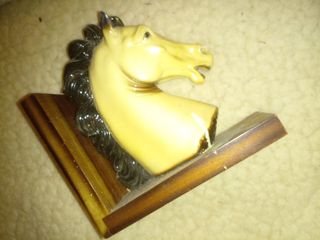 Cabeza de caballo