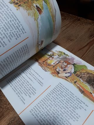 LIBRO LOS LIBROS AMIGOS