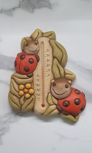 Misuratore temperatura THUN