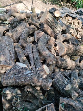 Remolque de Leña olivo