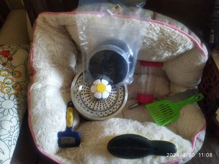 UTENSILIOS PARA GATOS