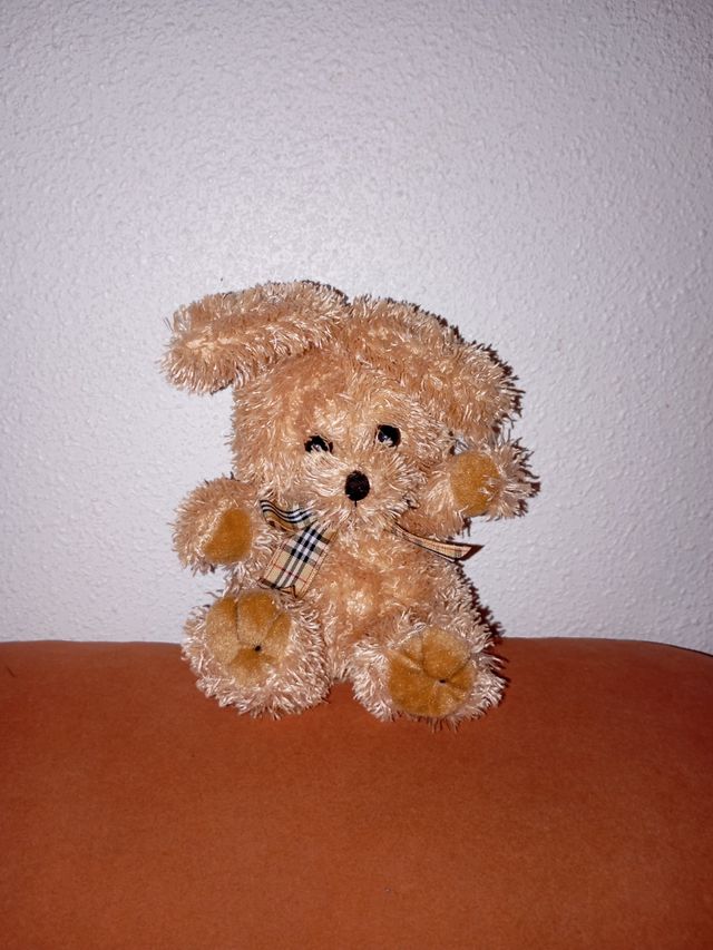 Peluche oso