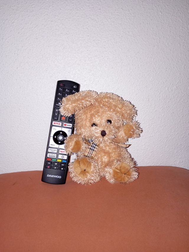 Peluche oso