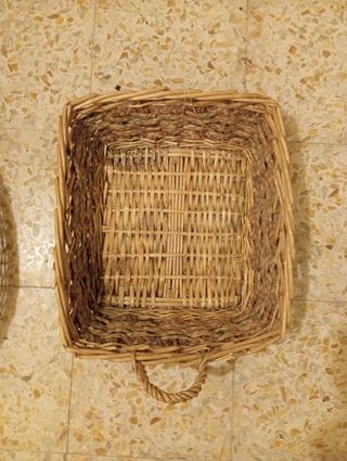 Cestini 