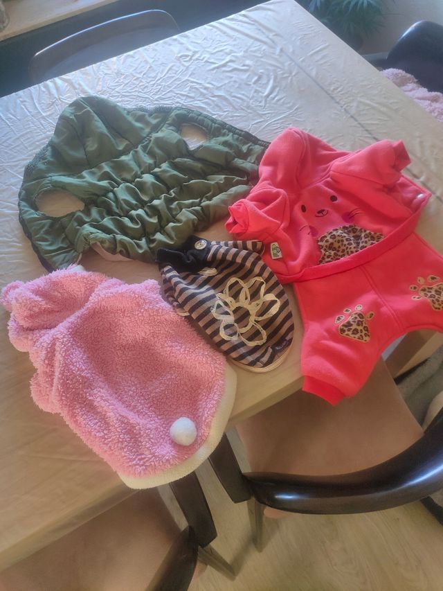 Lote de cuatro suéter perro