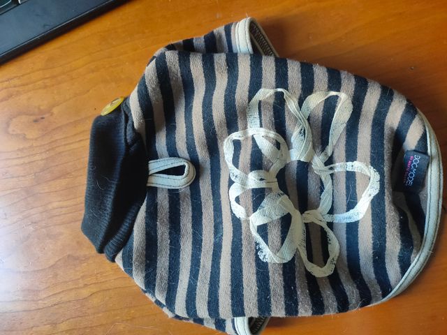 Lote de cuatro suéter perro