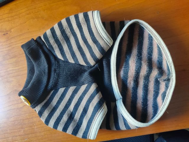 Lote de cuatro suéter perro