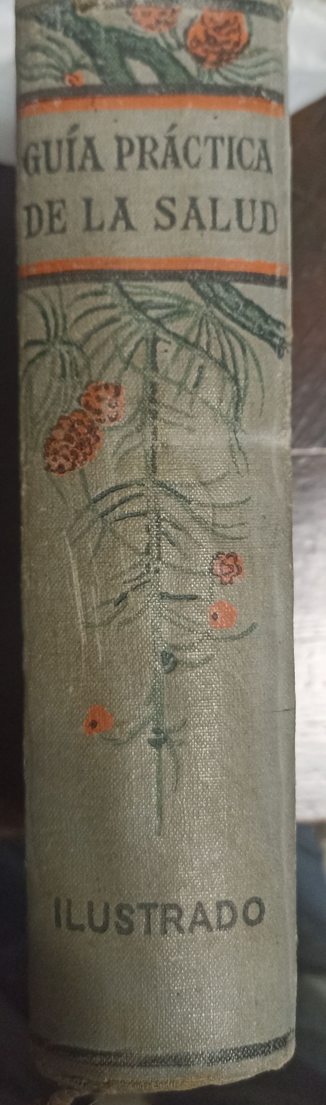 Guía práctica de la Salud (57)