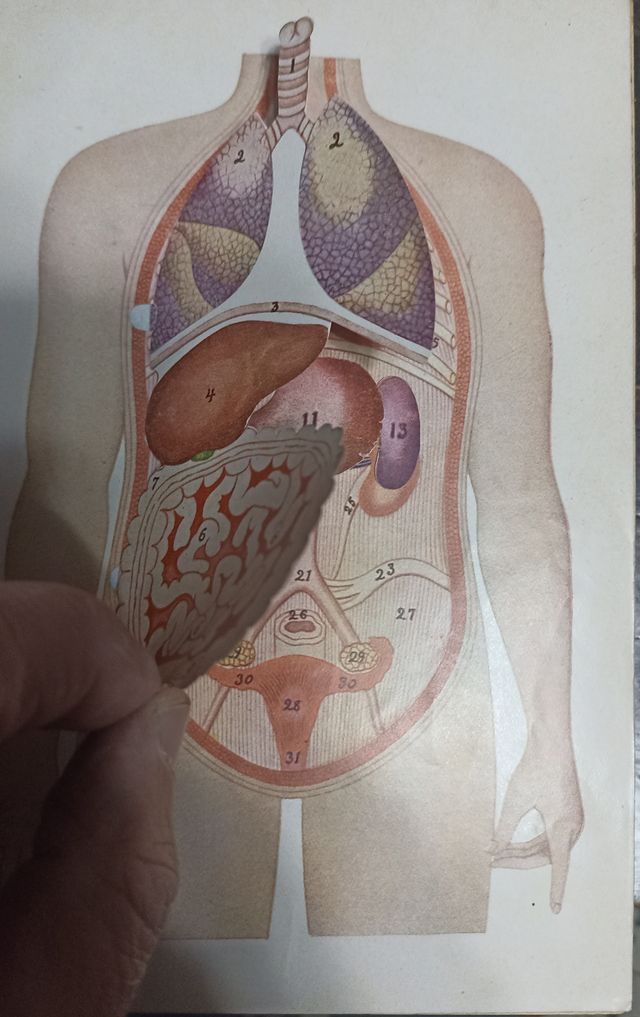 Guía práctica de la Salud (57)