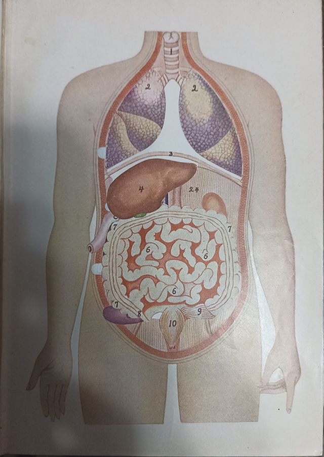 Guía práctica de la Salud (57)