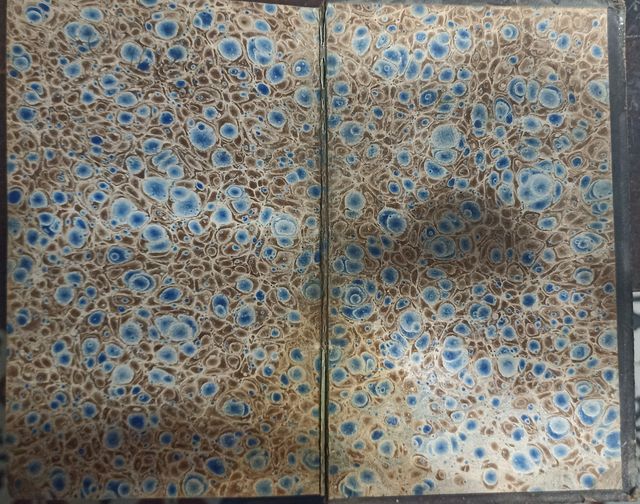 Diccionario Español - Francés . Tomo II (58)