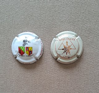 2 placas cava de Zaragoza