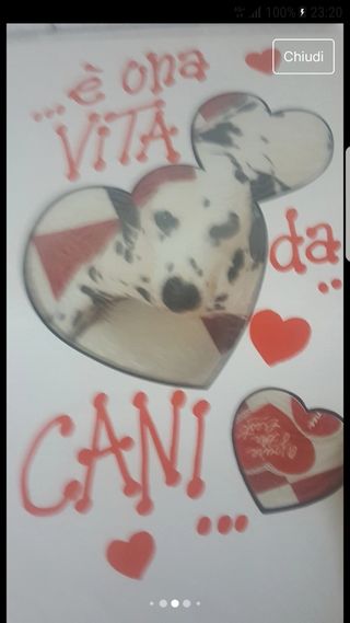 Stock di biglietti di auguri.