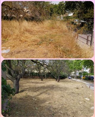 Jardinero economíco