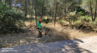 Jardinero economíco