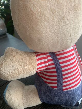 Teddy Orso Delle Emozioni inglese-italiano