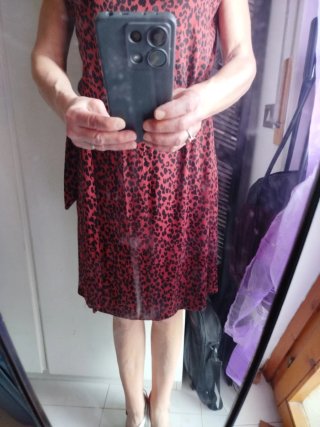 Vestito in cotone colore mattone animalier.