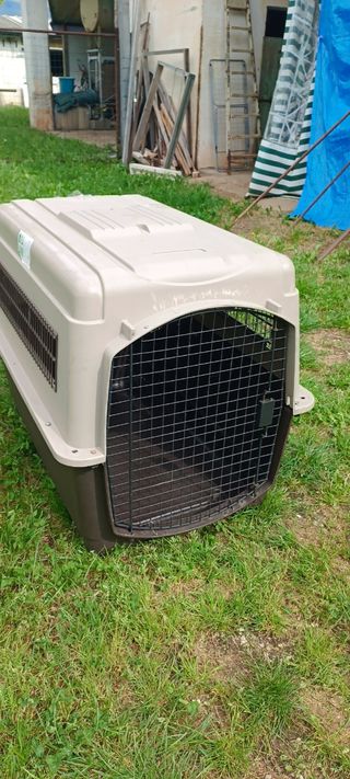 Kennel per trasporto aereo