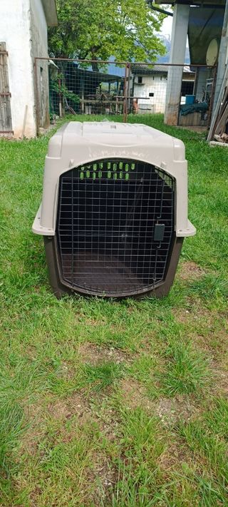 Kennel per trasporto aereo