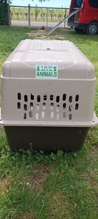 Kennel per trasporto aereo