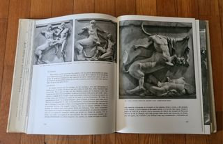 El Universo de las formas