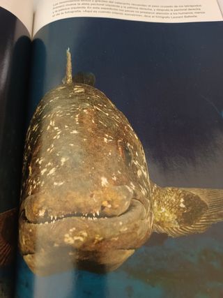 National Geographic, de Nov. 2011