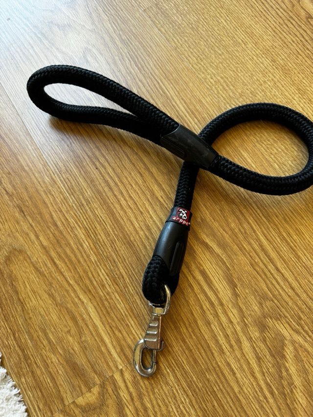 Correa se perro negra