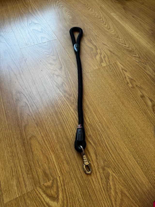 Correa se perro negra