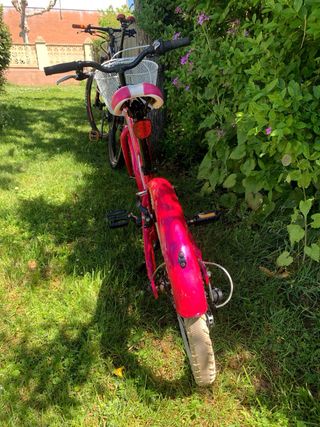 Bicicleta WRC