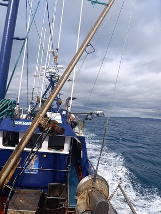 Vendo barco pesca