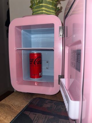 Mini nevera Flamingueo