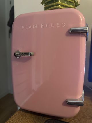 Mini nevera Flamingueo