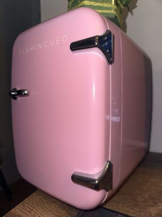 Mini nevera Flamingueo