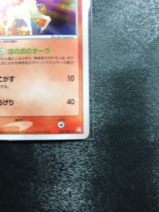 Rapidash HOLO FireRed & LeafGreen - Cartas Pokemon