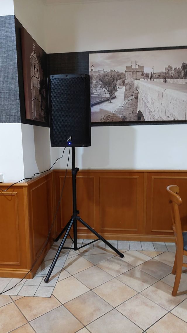 ALQUILER ALTAVOCES AUTOAMPLIFICADOS 15"