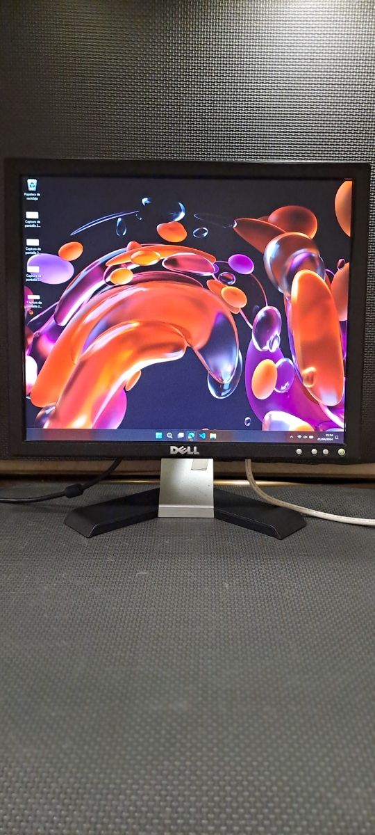 DELL LCD Monitor 17"