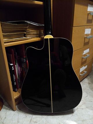 Guitarra electro acústica 12 cuerdas y amplificado