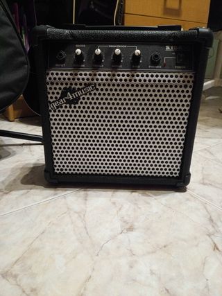 Guitarra electro acústica 12 cuerdas y amplificado