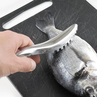 Squama pesci togli squame desquamatore per pesce