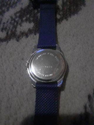 Relog minister correa azyl