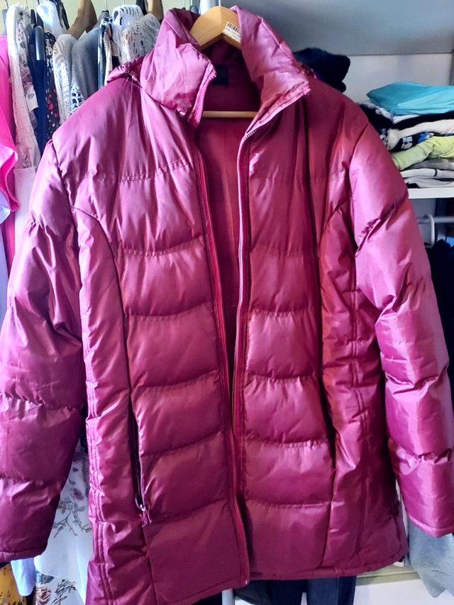 LOTE 2 ABRIGOSX 10€