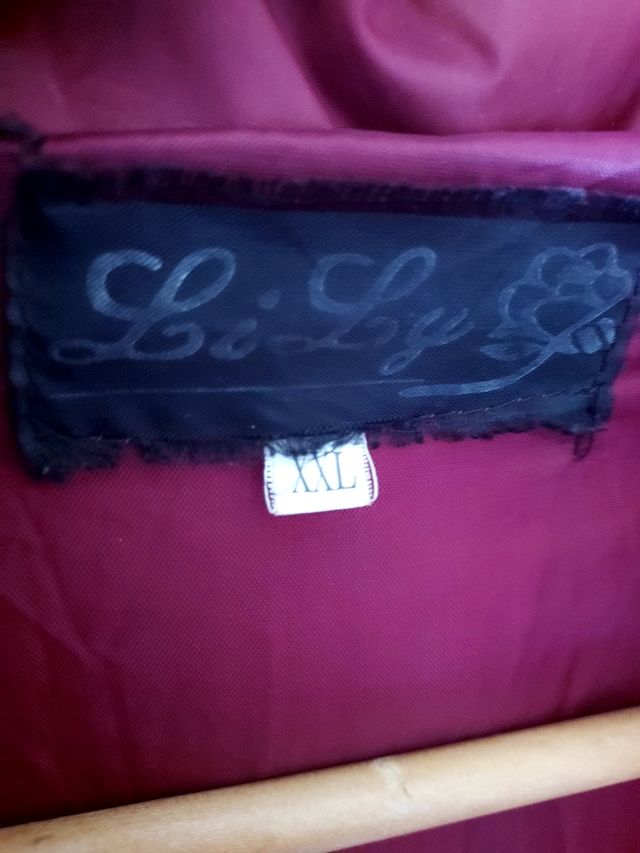 LOTE 2 ABRIGOSX 10€