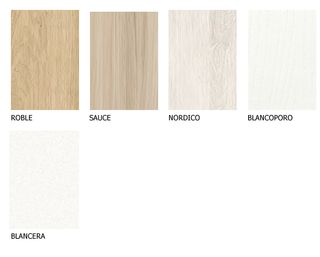 Composición Juvenil Explora 22